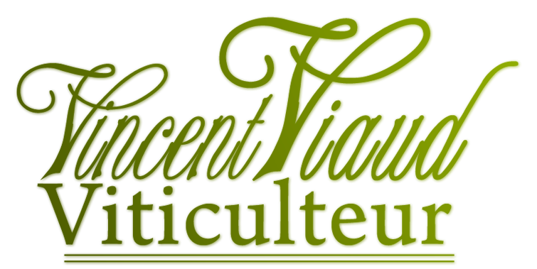 Accueil