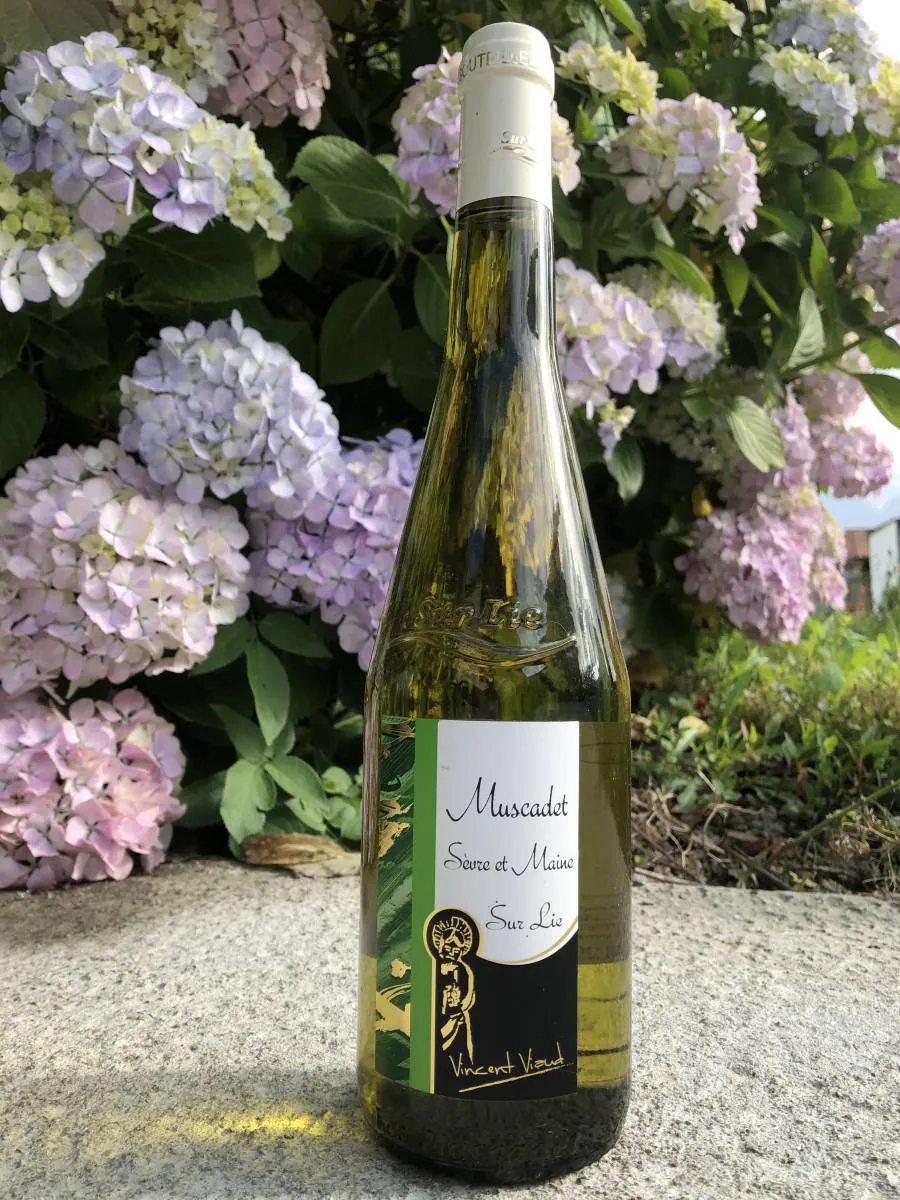 Muscadet Sèvre et  Maine Sur-Lie 2024