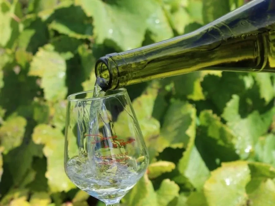 diapo-accueil-vin